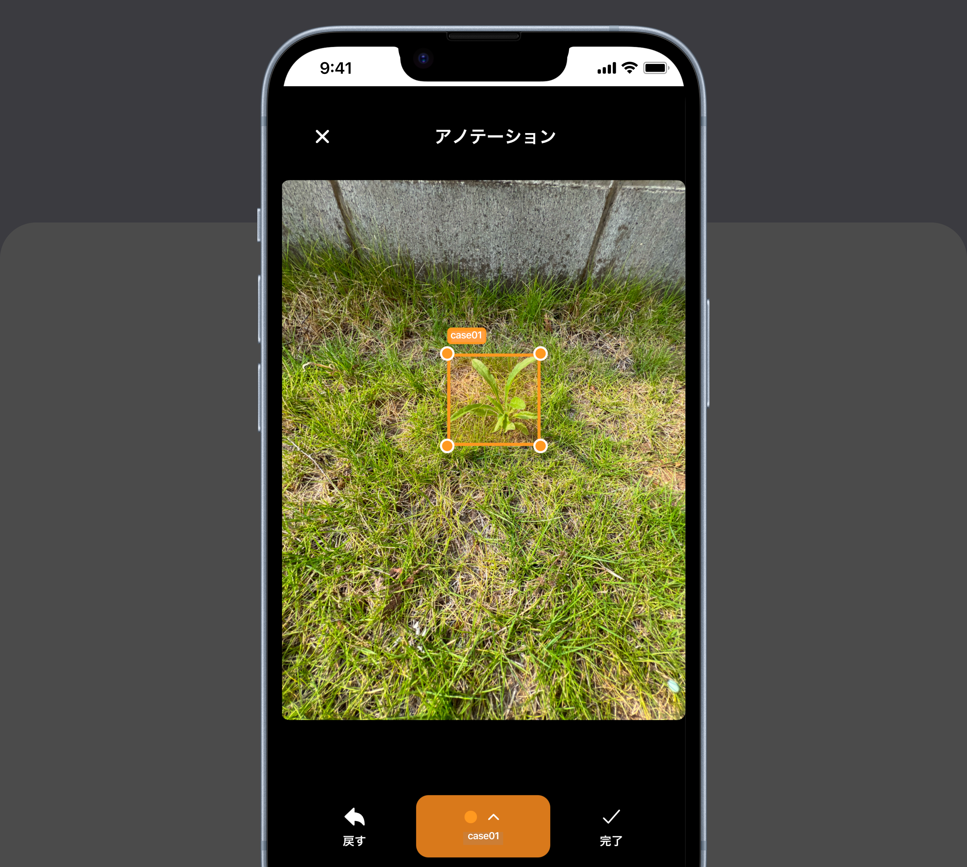 Agile Label 3ステップ