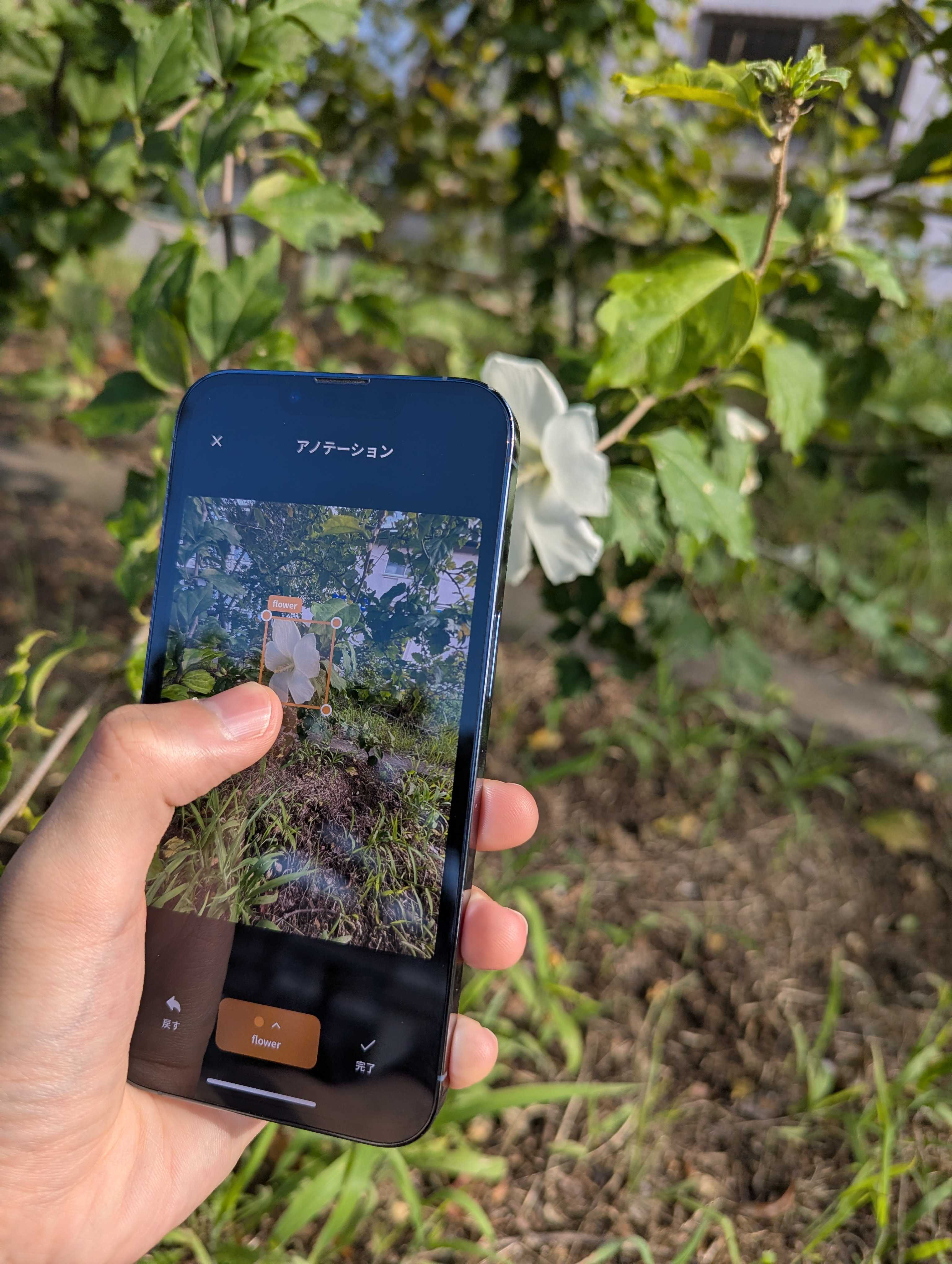 Agile Label スクリーンショット 3